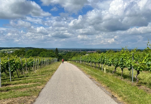 22-06-06 11-07-28 1050